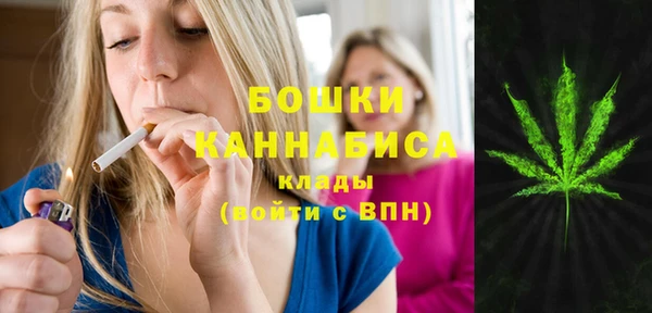 шишки Бородино
