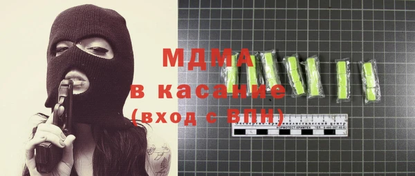 шишки Бородино