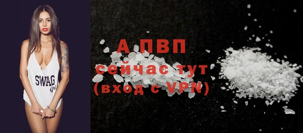 шишки Бородино
