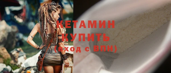 шишки Бородино