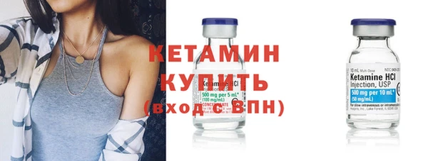 шишки Бородино