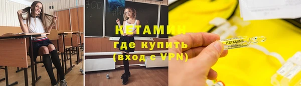 шишки Бородино