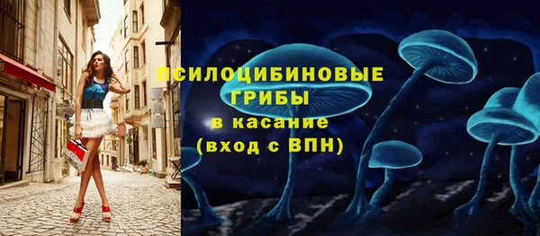 шишки Бородино
