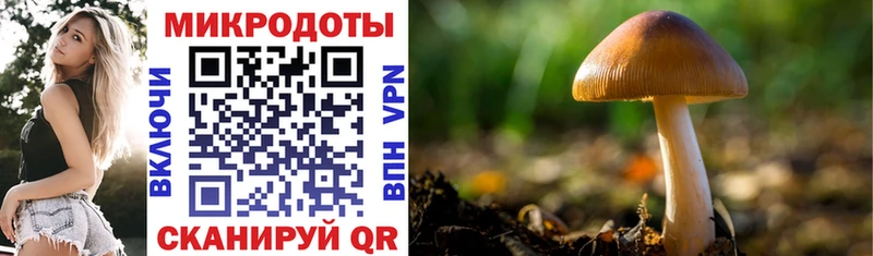 Псилоцибиновые грибы ЛСД  продажа наркотиков  Короча 